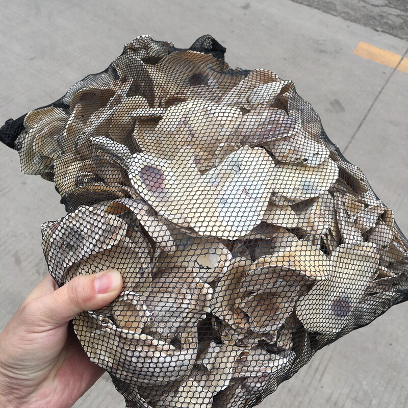 蚝壳滤材鱼缸锦鲤池过滤材料牡蛎壳鱼池降PH值火烧生蚝壳稳定水质