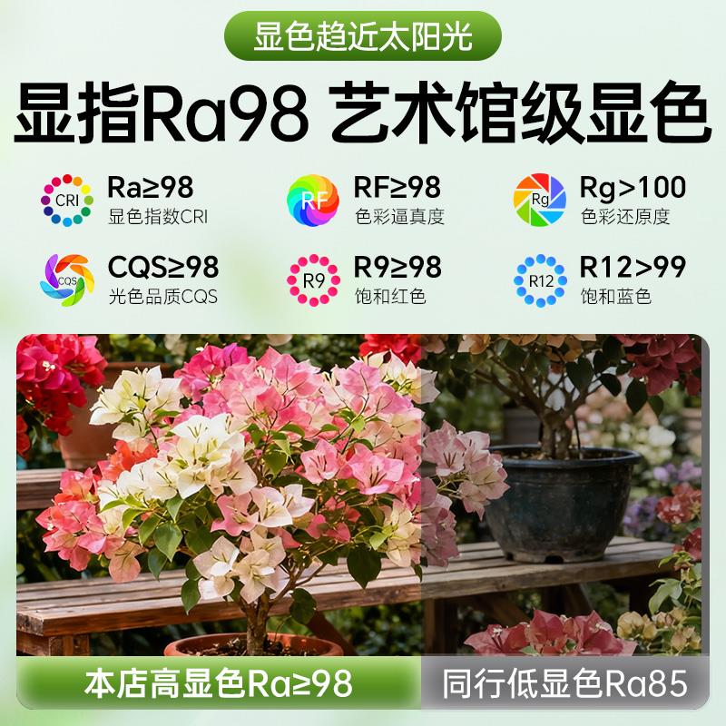 三角梅专用太阳能全光谱植物生长灯LED仿太阳光补光花卉植物灯