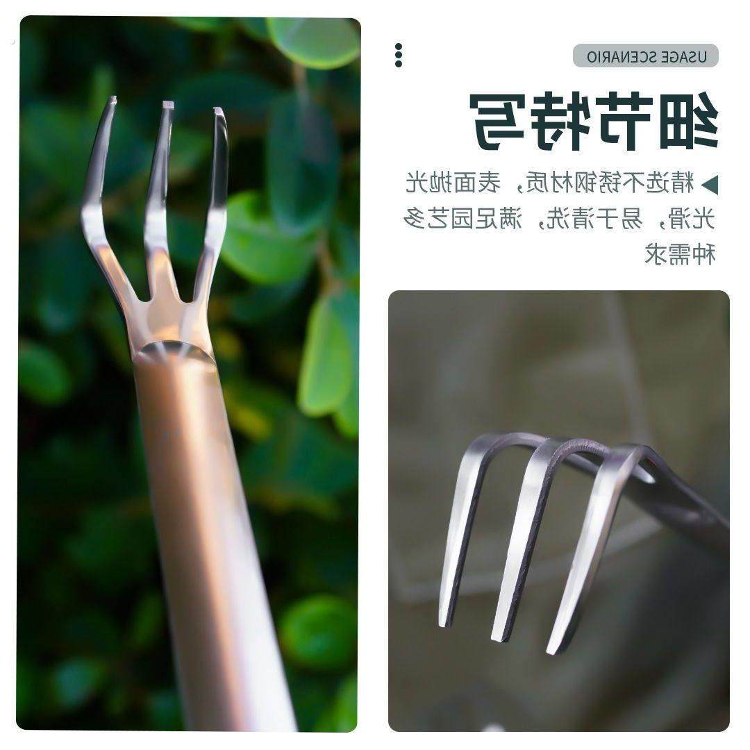 新款盆景耙子家用不锈钢手耙双头压土刀摘芽手工盆景制作工具松土,鲜花速递/花卉仿真/绿植园艺,铲子,淘宝优惠券,粉丝福利购,淘宝优惠卷
