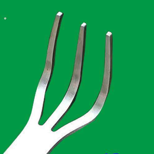 新款盆景耙子家用不锈钢手耙双头压土刀摘芽手工盆景制作工具松土,鲜花速递/花卉仿真/绿植园艺,铲子,淘宝优惠券,粉丝福利购,淘宝优惠卷