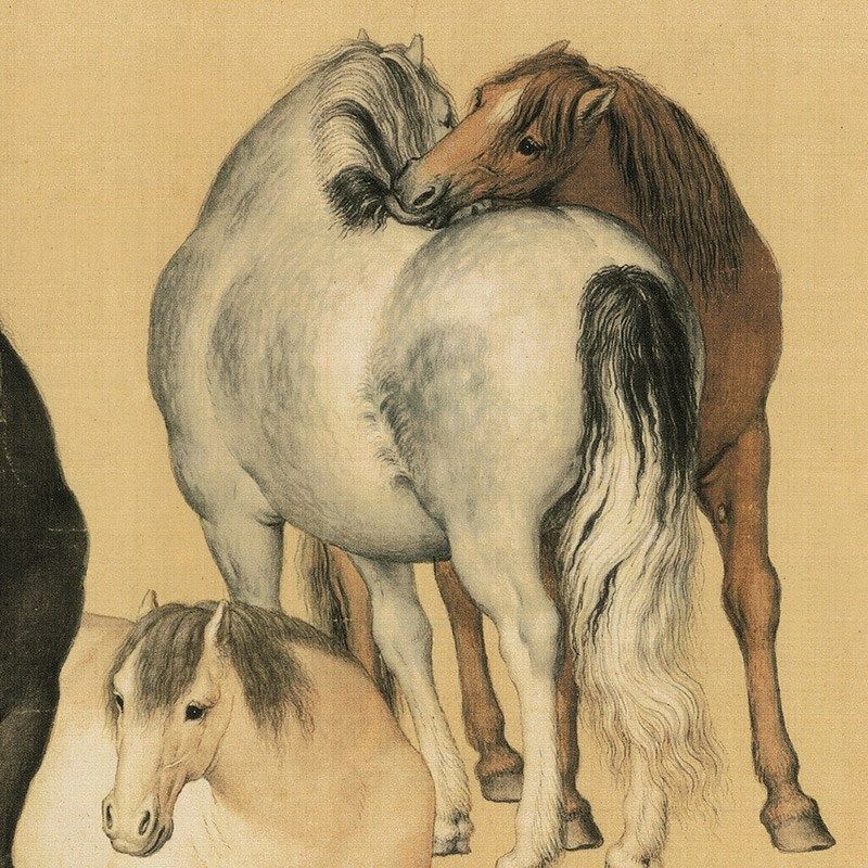 郎世宁 八骏图 雪点雕国画骏马真迹高清复制客厅卧室横幅装饰挂画