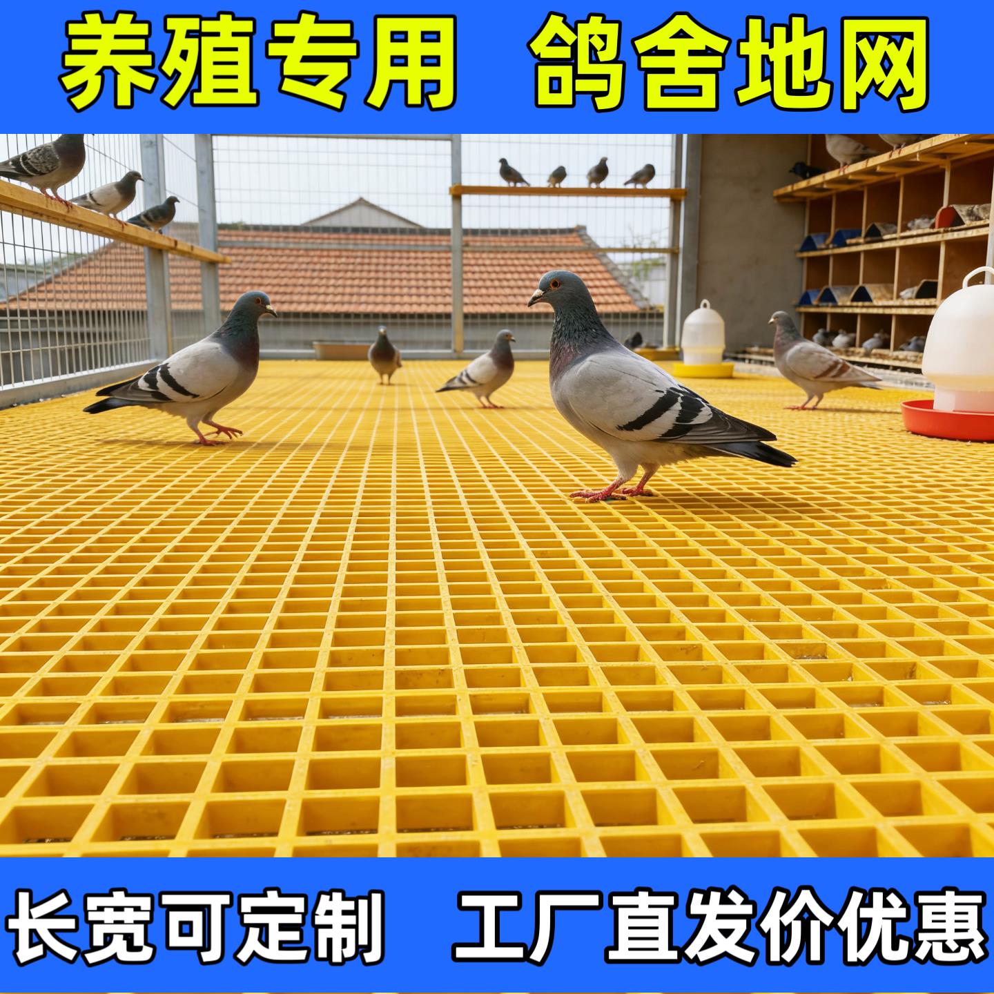 玻璃钢格栅板鸽舍专用鸽子地网养殖漏粪板赛鸽信鸽公棚鸽笼降落台