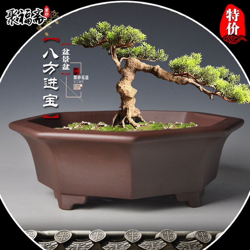 宜兴紫砂盆景花盆 大号假山造景盆小叶紫檀迎客松盆景花盆特价