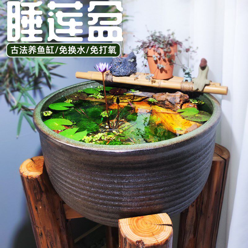 庭院落地睡莲盆复古景德镇陶瓷古法养鱼无孔花盆荷花专用水缸生态