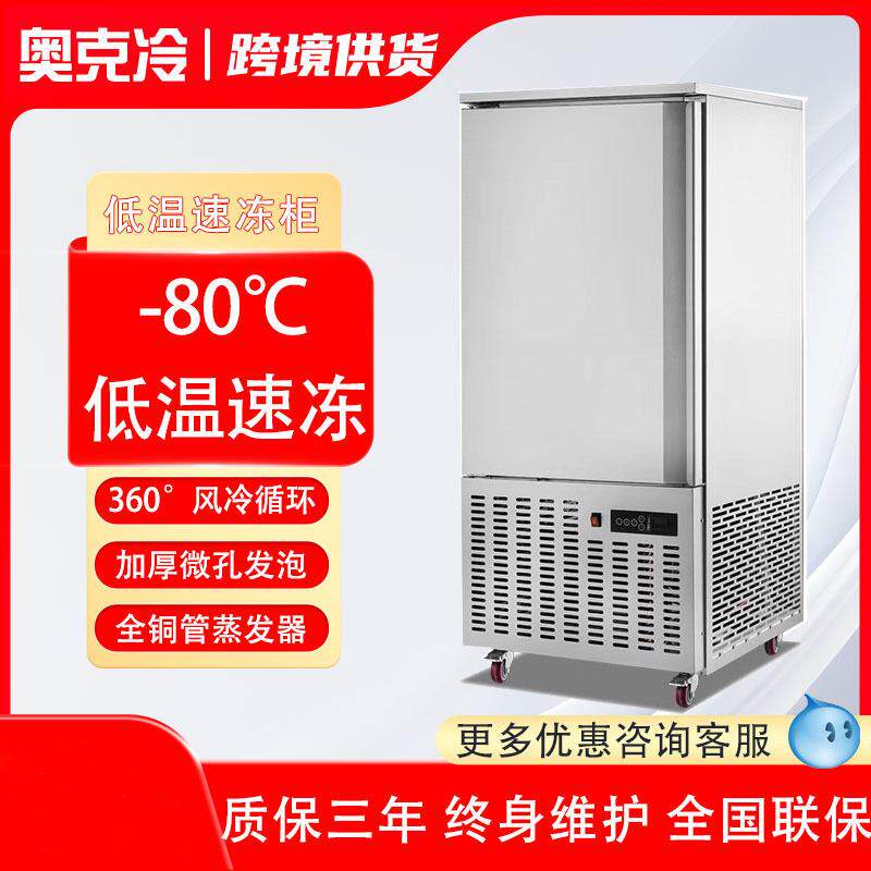 速冻机商用冰箱急冻冰柜冷柜小型冷冻库插盘式制冰机大容量极寒
