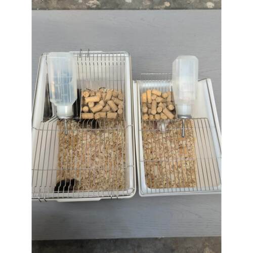 实验小鼠饲养笼小白鼠花枝鼠大鼠笼子盒子繁殖笼盒繁育笼开票