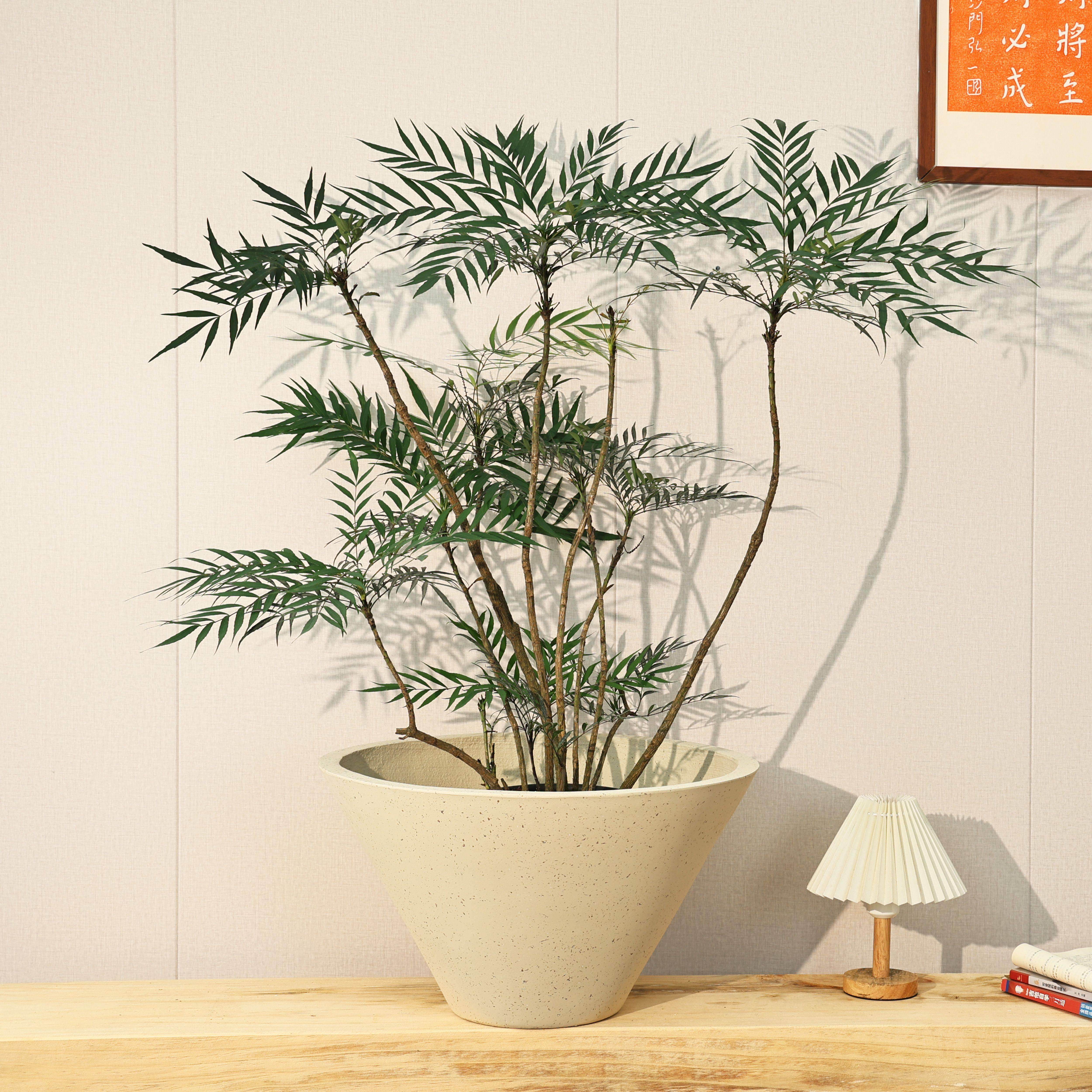 镁泥花盆简约落地艺术彷古花盆现代化风格室外室内绿植盆栽水泥盆