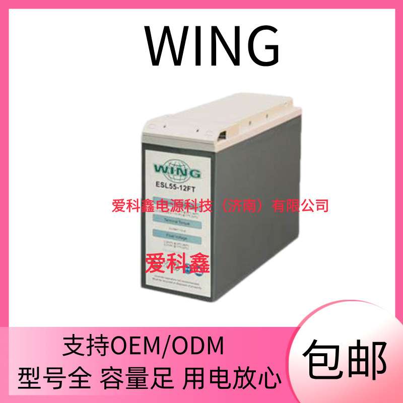 WING蓄电池 ESL55-12FT 12V55AH 通信基站机房船舶深循环电池
