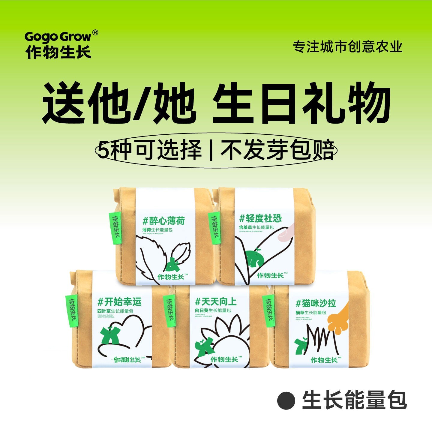 作物生长种植盆栽套装薄荷幸运草ins风桌面绿植创意diy生日礼物