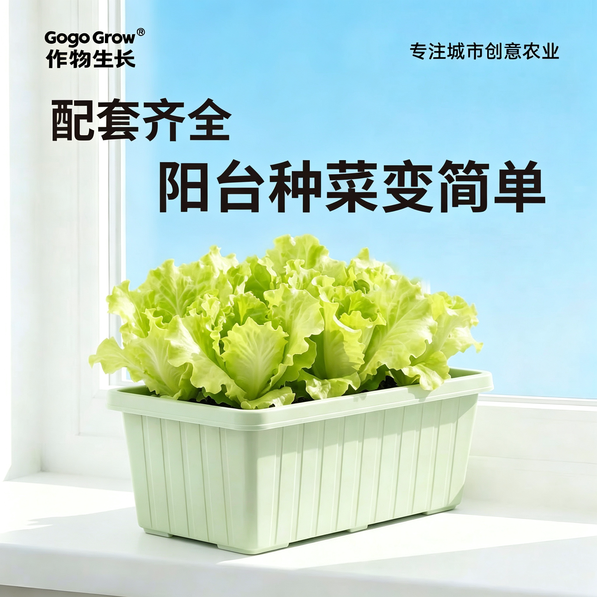 作物生长家庭种植套装有机蔬菜四季蔬菜阳台种菜盆栽工具送种子