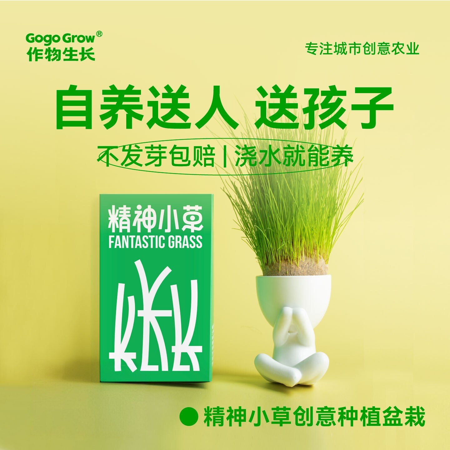 作物生长精神小草长草娃娃创意盆栽办公室种植可爱植物生日礼物