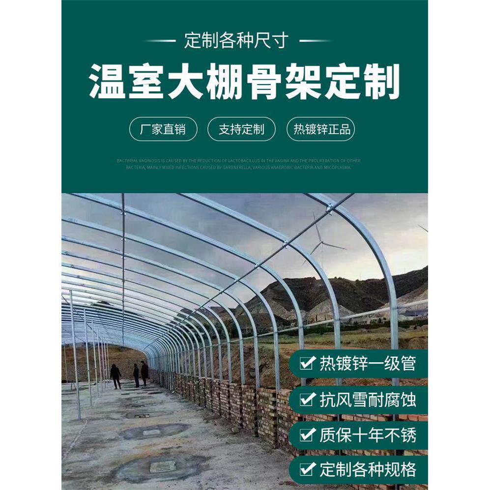 大棚骨架钢管全套蔬菜种植养殖猪牛鸡椭圆管半坡暖棚保温钢架连栋