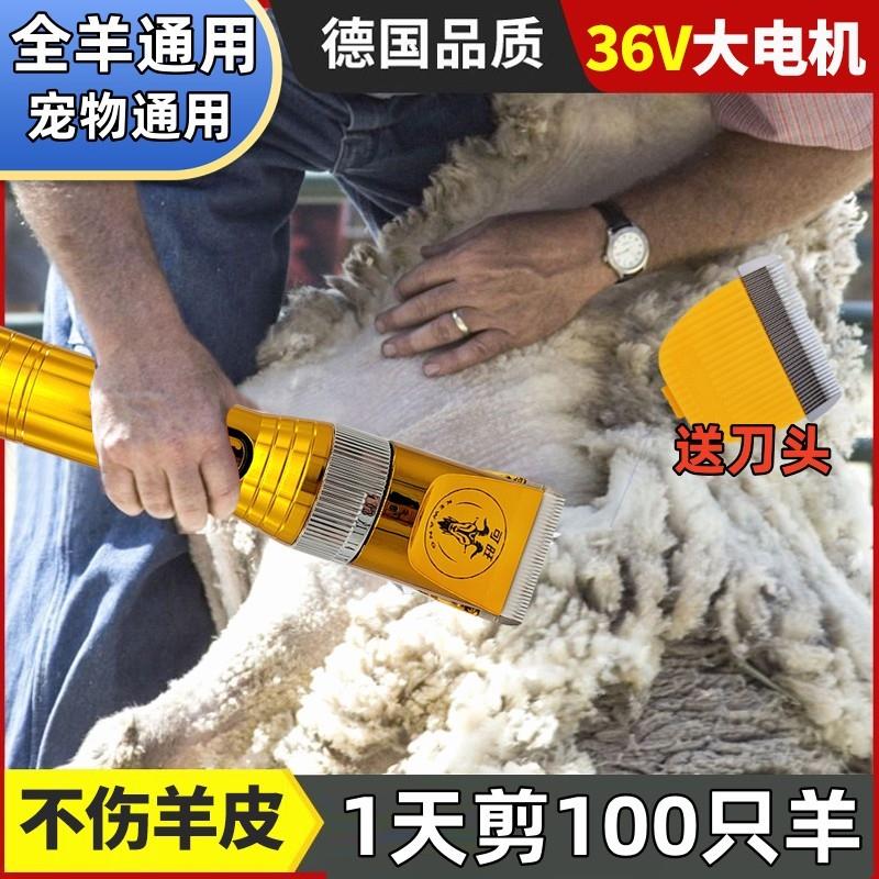 可旺36V大功率羊毛电推剪刀头羊专用剃毛机电推子大型犬宠物留毛