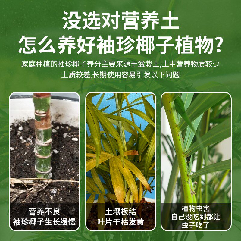 袖珍椰子专用土有机肥料营养土椰康泥炭腐植土家用盆栽种花养花土