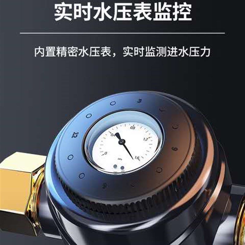 坊茨铜前置过滤器反冲洗家用厨房全屋自来水管道中央全屋净水器