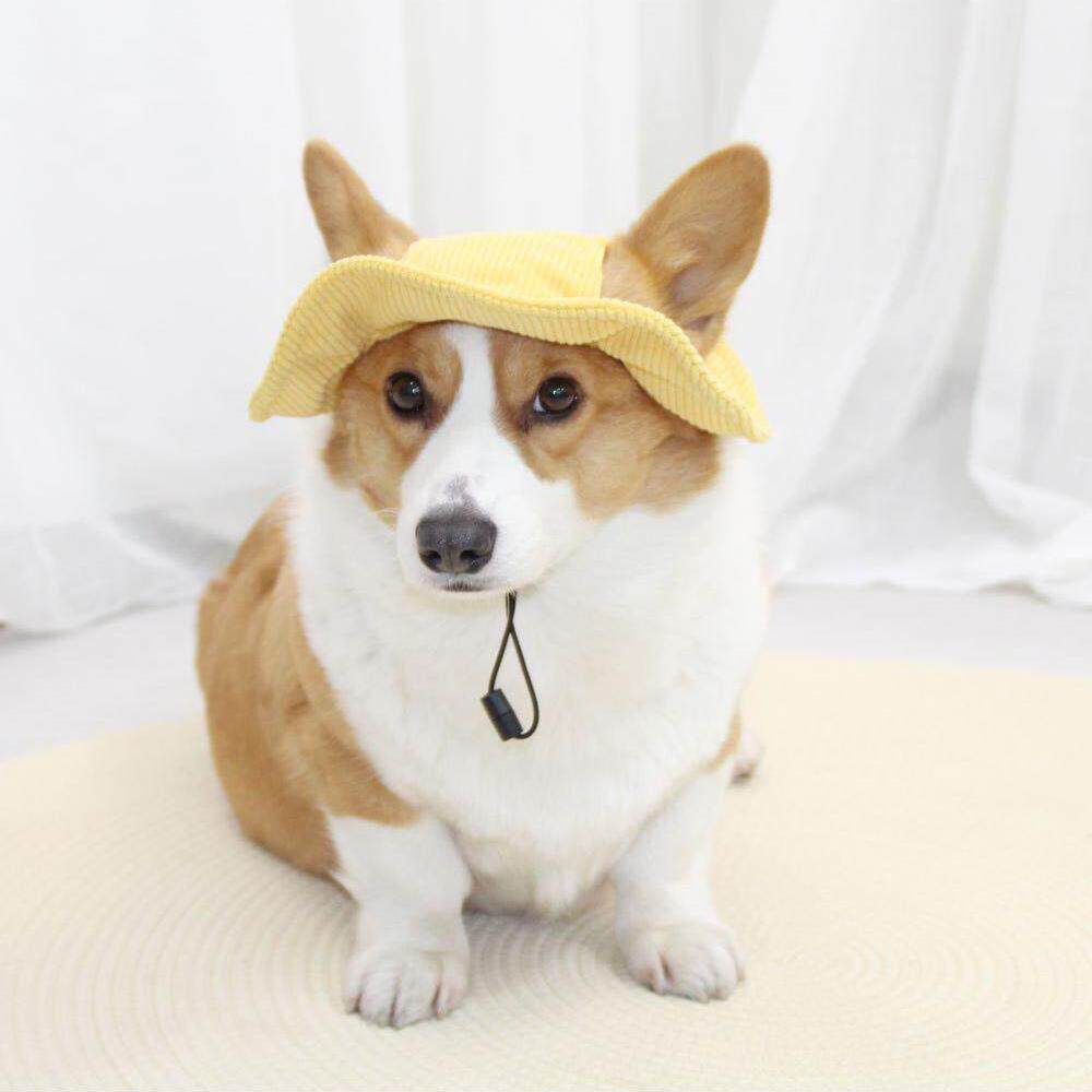 狗帽子可爱露耳朵渔夫帽大狗夏天遮阳帽猫柴犬柯基宠物防晒小黄帽