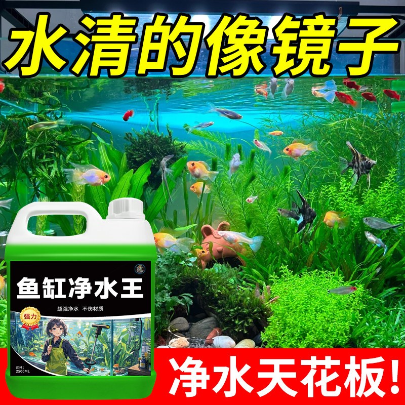鱼缸净水剂一滴清免换水特清净水剂养鱼水立清净化水质清澈专用%