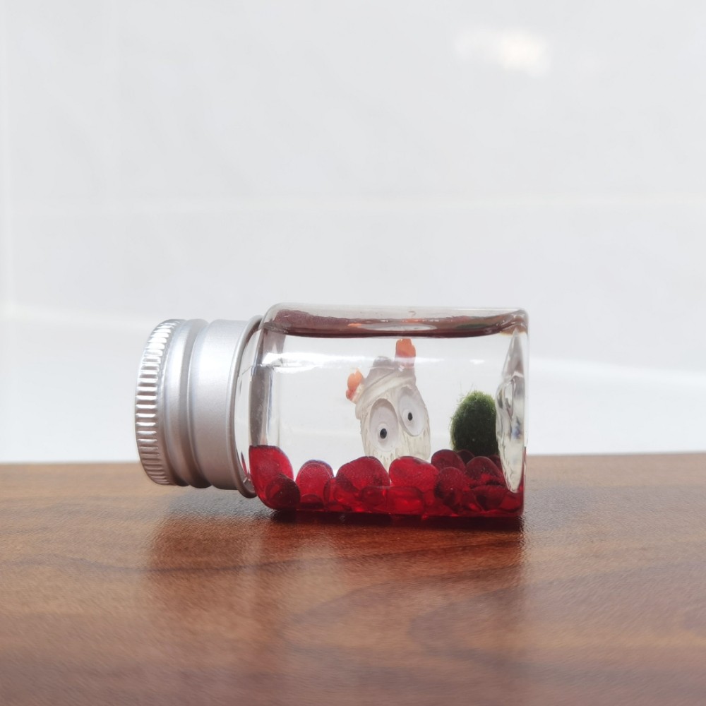 很小的植物能带走迷你 海藻球随身瓶生态瓶趣味桌面宠物口袋精灵,鲜花速递/花卉仿真/绿植园艺,情绪植物,淘宝优惠券,粉丝福利购,淘宝优惠卷