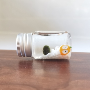 生态瓶桌面宠物办公室趣味水培微景观宿舍小礼物懒人植物海藻球