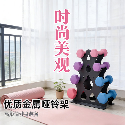 健美科技家用哑铃壶铃收纳架