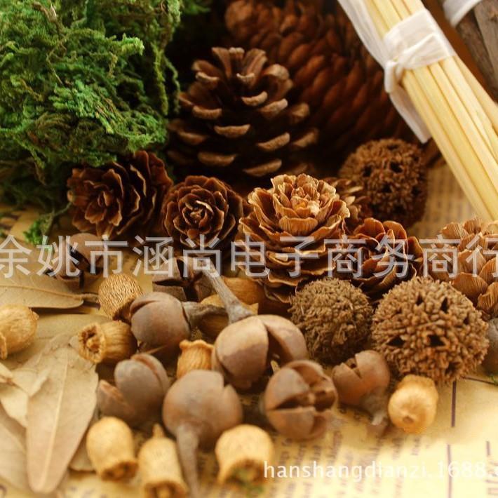 拍照拍摄道具复古森林宝贝套装摄影复古道具拍图搭配背景松果