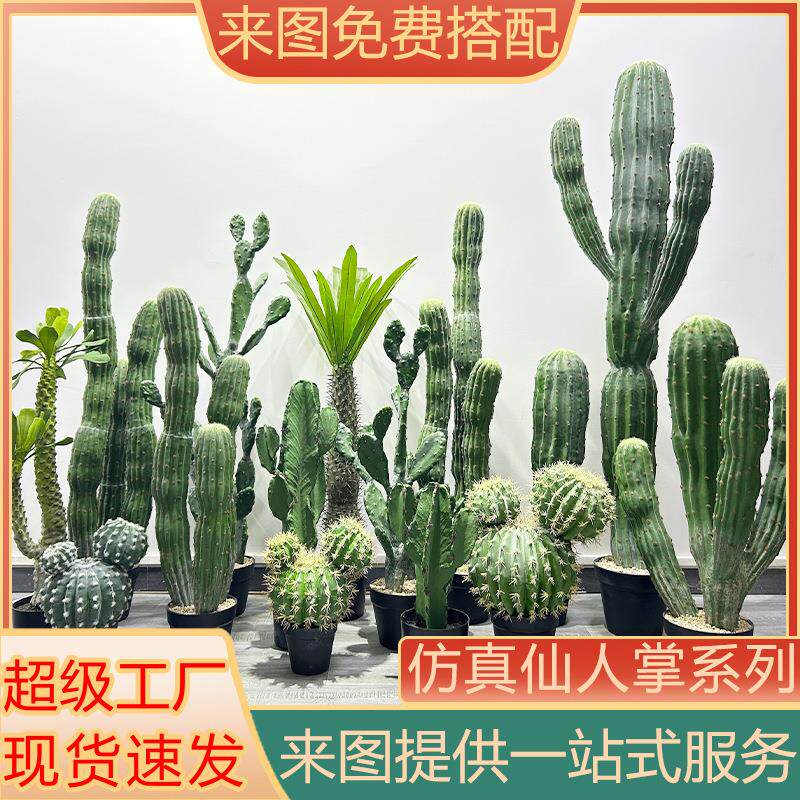 新款沙漠系列仿真仙人掌仙人柱仙人球热带沙漠仿真量天尺植物盆栽