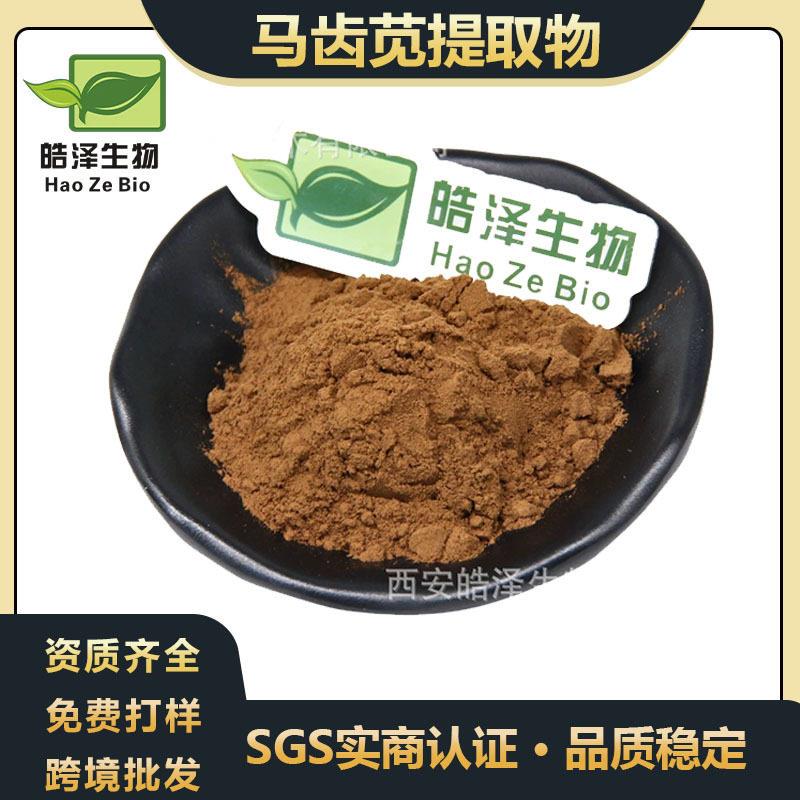 马齿苋提取物30:1马齿笕粉Barley grass powder马齿笕萃取 现货