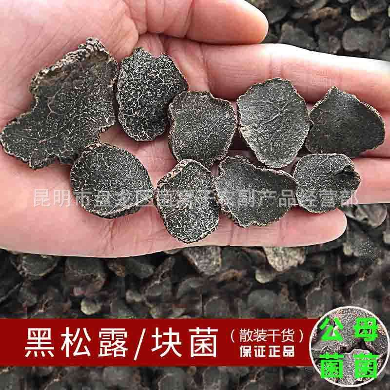 【菌窝子】黑松露 黑色中片 黑松露干片 松露块菌 酒店干货