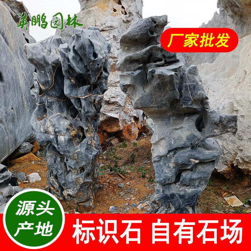 与设计师同行加工定制太湖石假山设计惠州别墅园林景观雅致摆