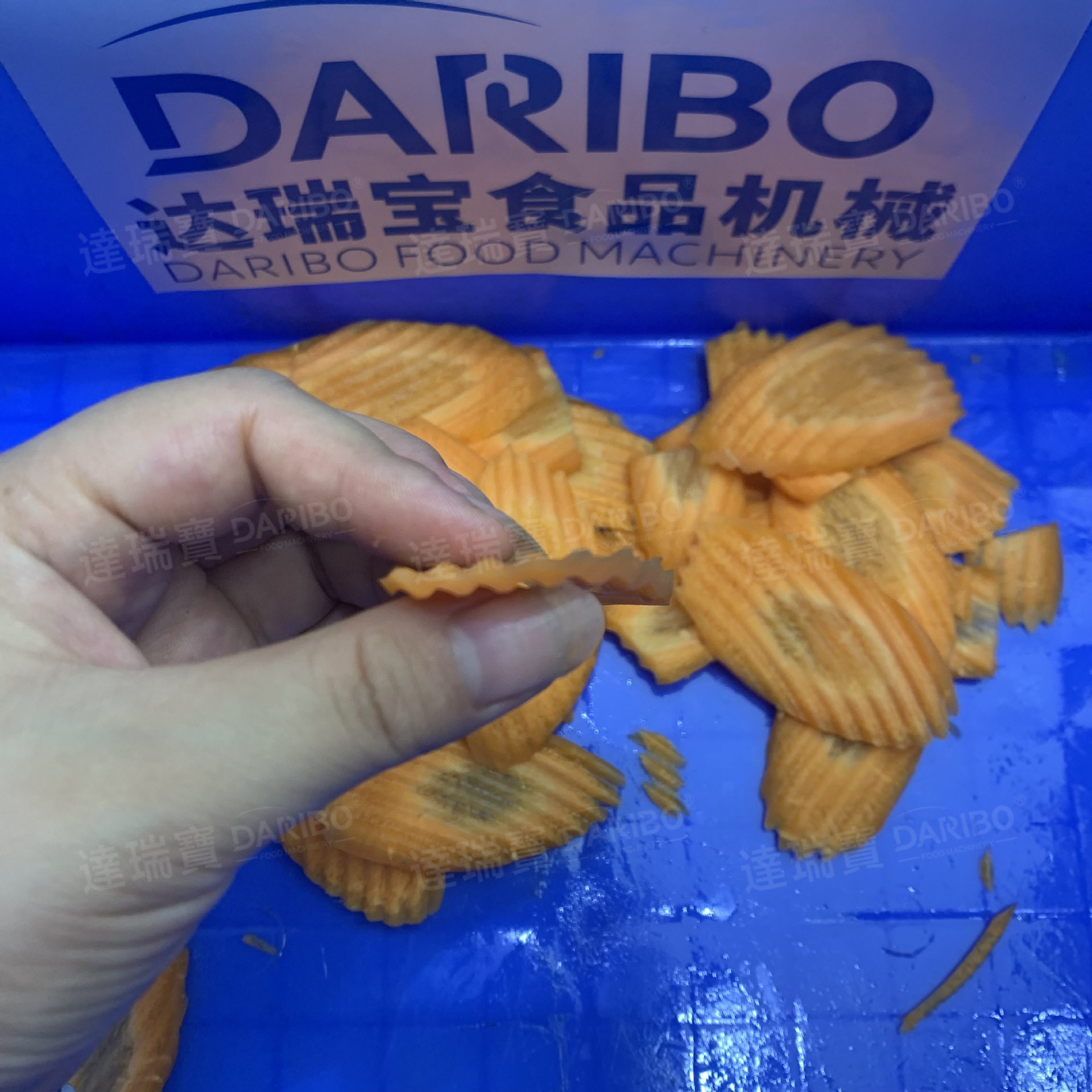 W厂家个性化需求全自动切菜机 生姜切片机土豆萝卜切丁机切菜机