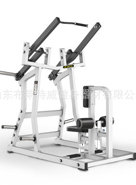 山东德州健身器材厂家 布莱特威坐式高拉背训练器背肌训练器