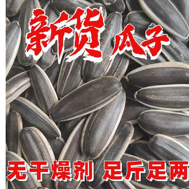 原味葵瓜子内蒙新鲜大颗粒散装优质生瓜子新货原味熟瓜子生葵瓜子