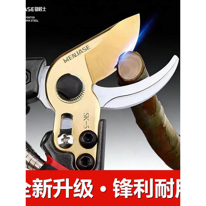 省力修枝剪果树粗枝剪家用园艺花枝摘果剪绿化强力树枝剪园林剪刀