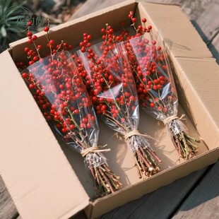 精品进口北美冬青鲜切枝水培植物鲜花束红果水养室内年宵花卉真花
