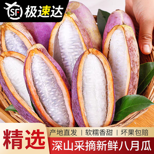 精选八月瓜8八月炸现摘产地直发软糯香甜新鲜甜瓜野香蕉当季水果