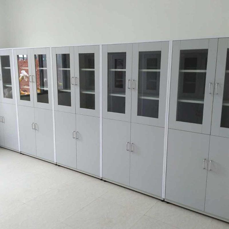实验钢木品柜 试室剂柜 器药皿柜 JZN-YPG化学试剂存柜 储器械柜图片
