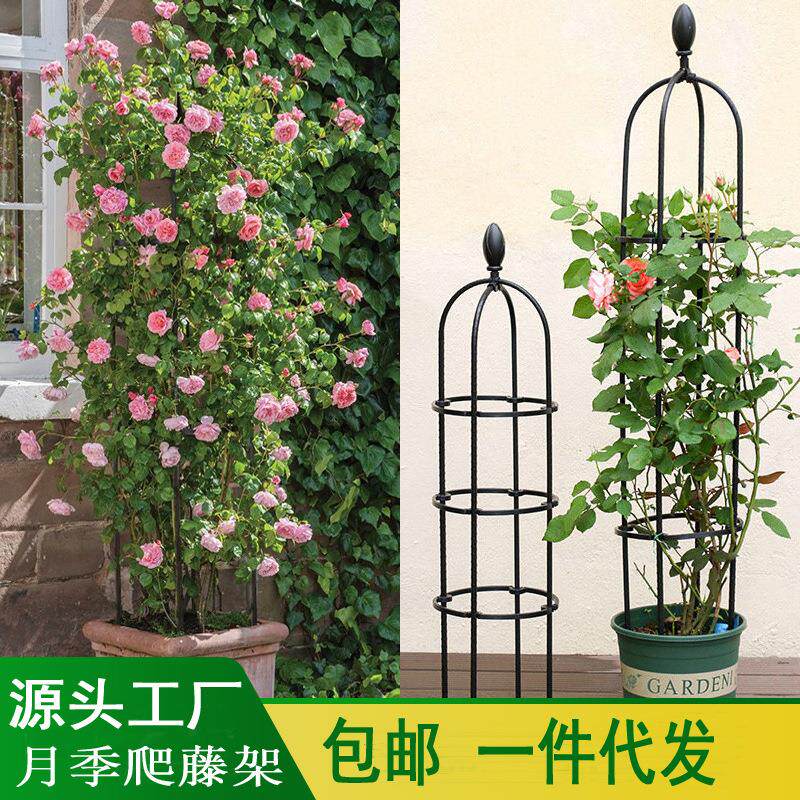 阳台植物铁线莲攀爬支架子铁艺花柱支撑杆绿萝月季爬藤架爬藤花架