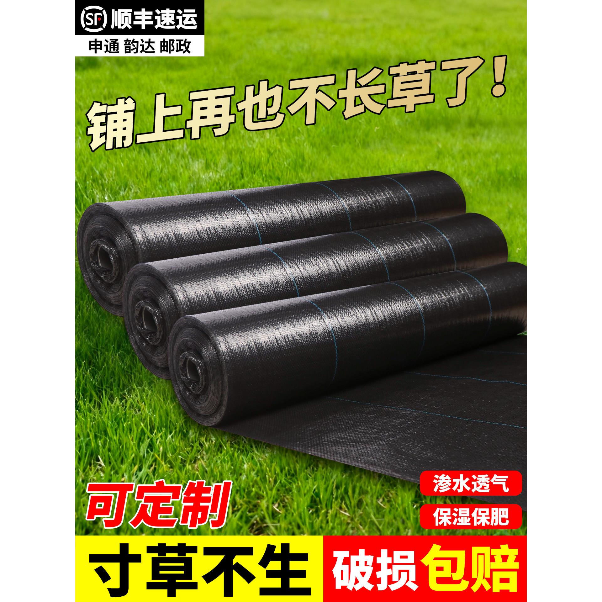 防草布除草布耐用地钉新型地布果树专用厂家直销农用打孔PE
