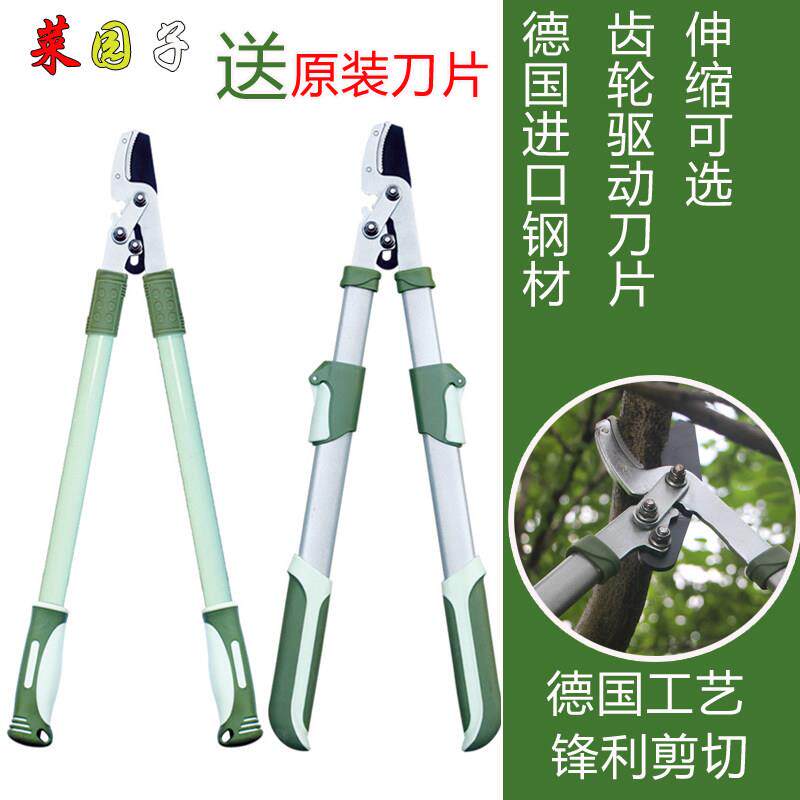 进口粗枝剪高枝修枝剪树枝果树绿化花园艺剪刀伸缩大力剪园林工具