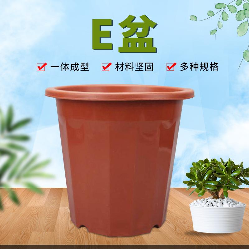 E型红色花盆十二角盆高角塑料花盆e角盆基地发财树育苗种植盆