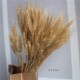 包邮 天然小麦麦穗燕麦黄色花束开业大麦田园装 饰礼品拍摄道具真花