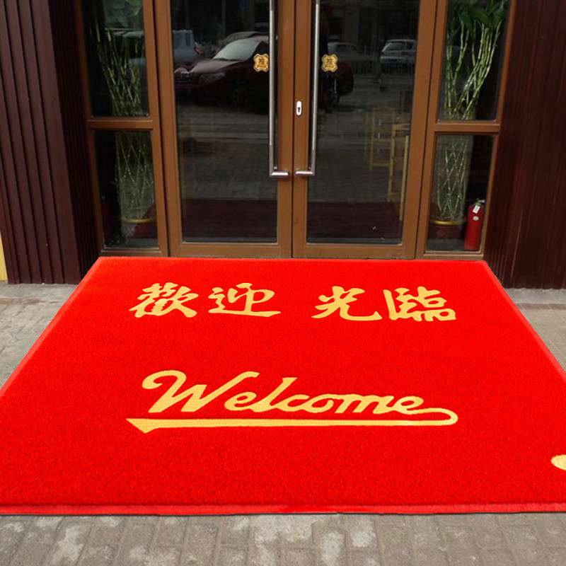 防滑防水丝圈地毯地垫进门门口入户门厅客厅门垫加厚pvc脚垫
