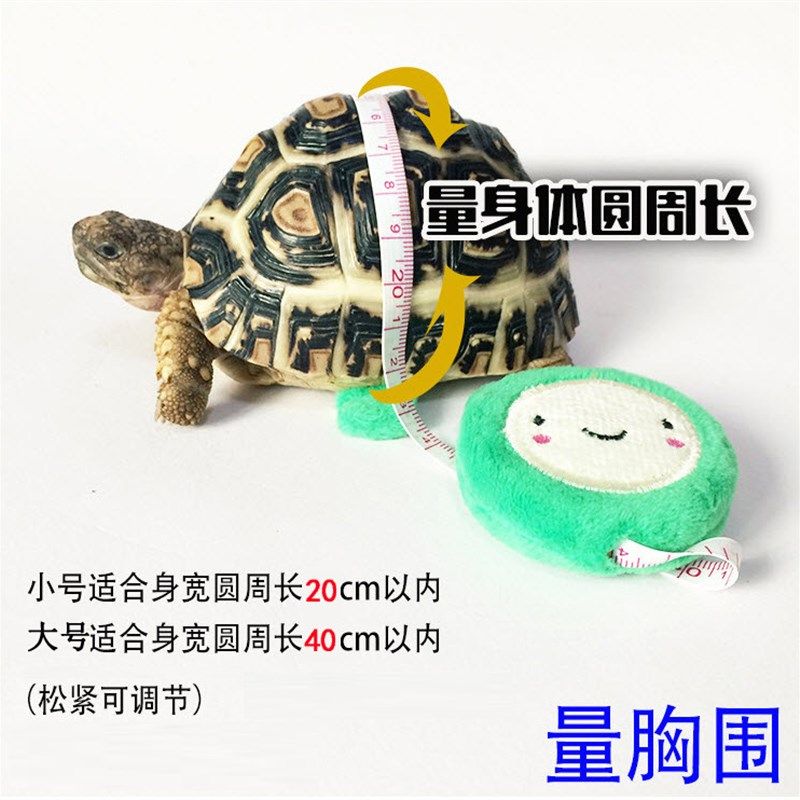 乌龟陆龟牵引绳溜龟绳外出牵绳背带人造皮爬宠蜥蜴户外便携遛龟绳