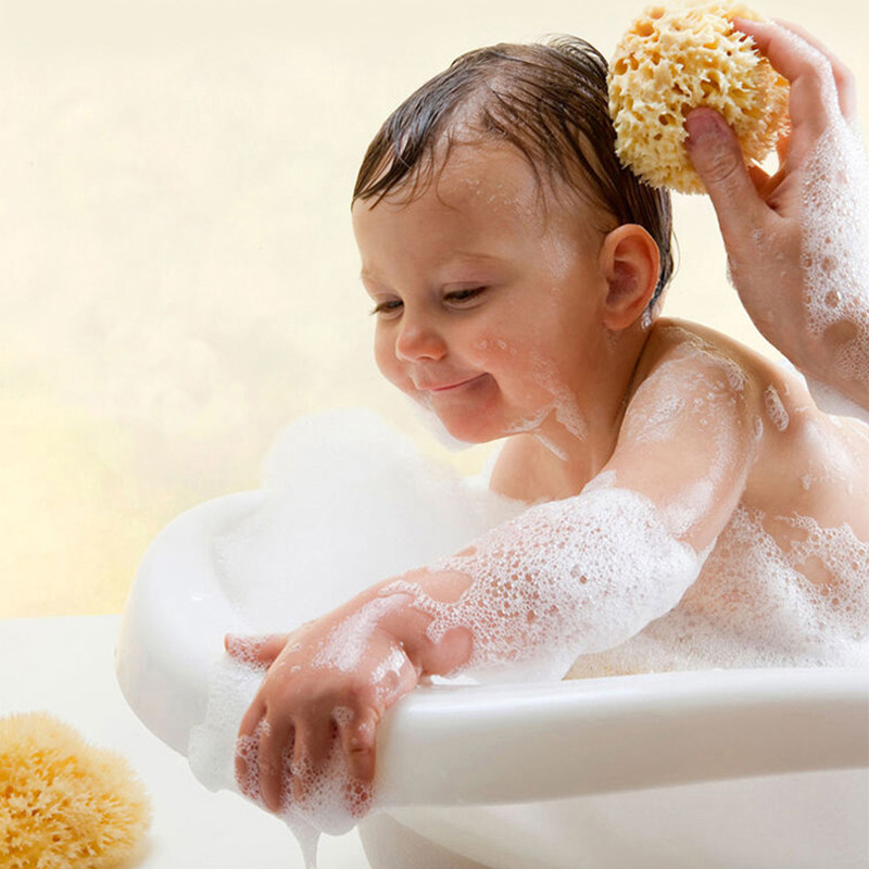 吕辰天然海绵新生婴儿孕妇洗脸搓澡蜂窝海棉宝宝沐浴棉S级10-11cm