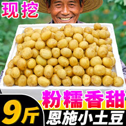 正宗湖北恩施土豆新鲜9斤装现挖粉糯香甜小土豆散装农家蔬菜整箱