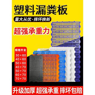 母猪产床漏粪板加强加厚养猪圈用漏粪板养殖塑料小仔猪保育床接粪