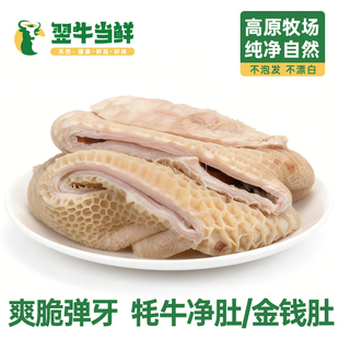 翌牛当鲜牦牛生牛肚牛大肚高原散养牦牛净肚火锅食材商用批发