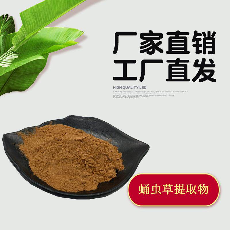 蛹虫草提取物10:1 水溶蛹虫草粉 金虫草菌丝粉