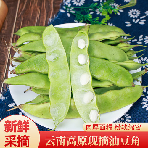 云南油豆角新鲜当季现摘软糯无筋开锅即烂顺丰包邮净重5斤