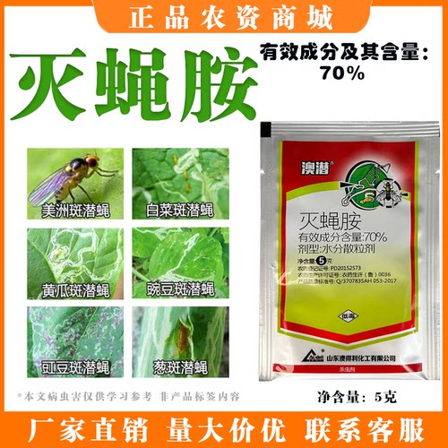 70%灭蝇胺斑潜蝇专用杀虫剂
